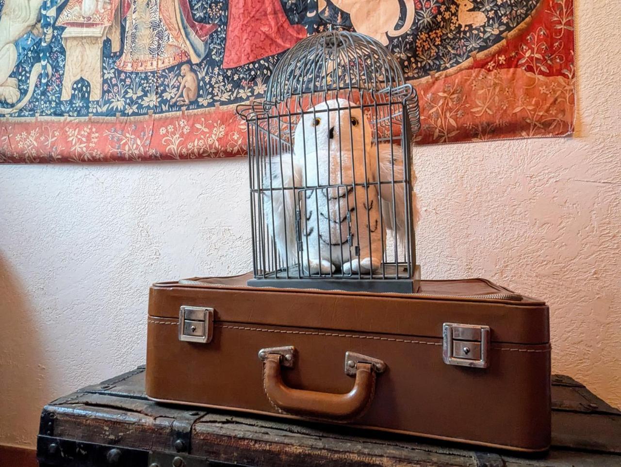 La Maison Sur Demande — Cuers — photo 5