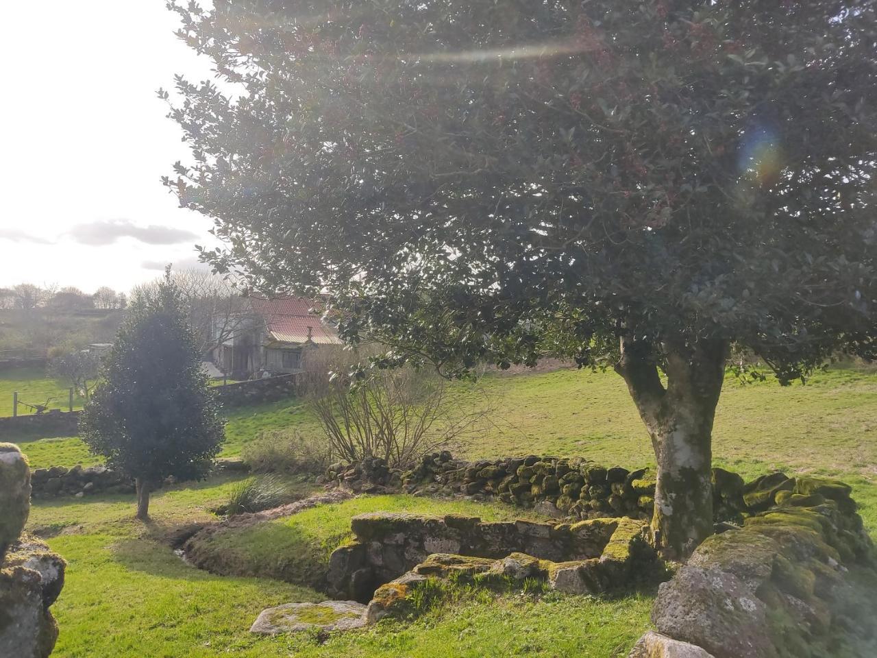 O Campo Dafolla - last minute hotel in Carballedo