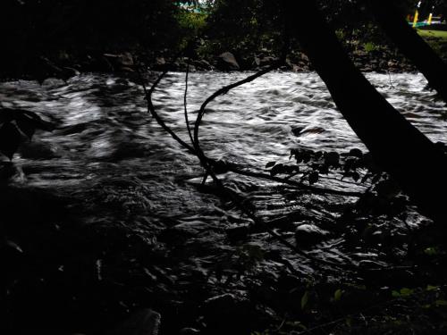 Rolling Brook Inn - photo 23