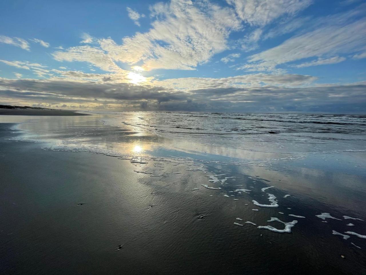 Effe Wad — Nes