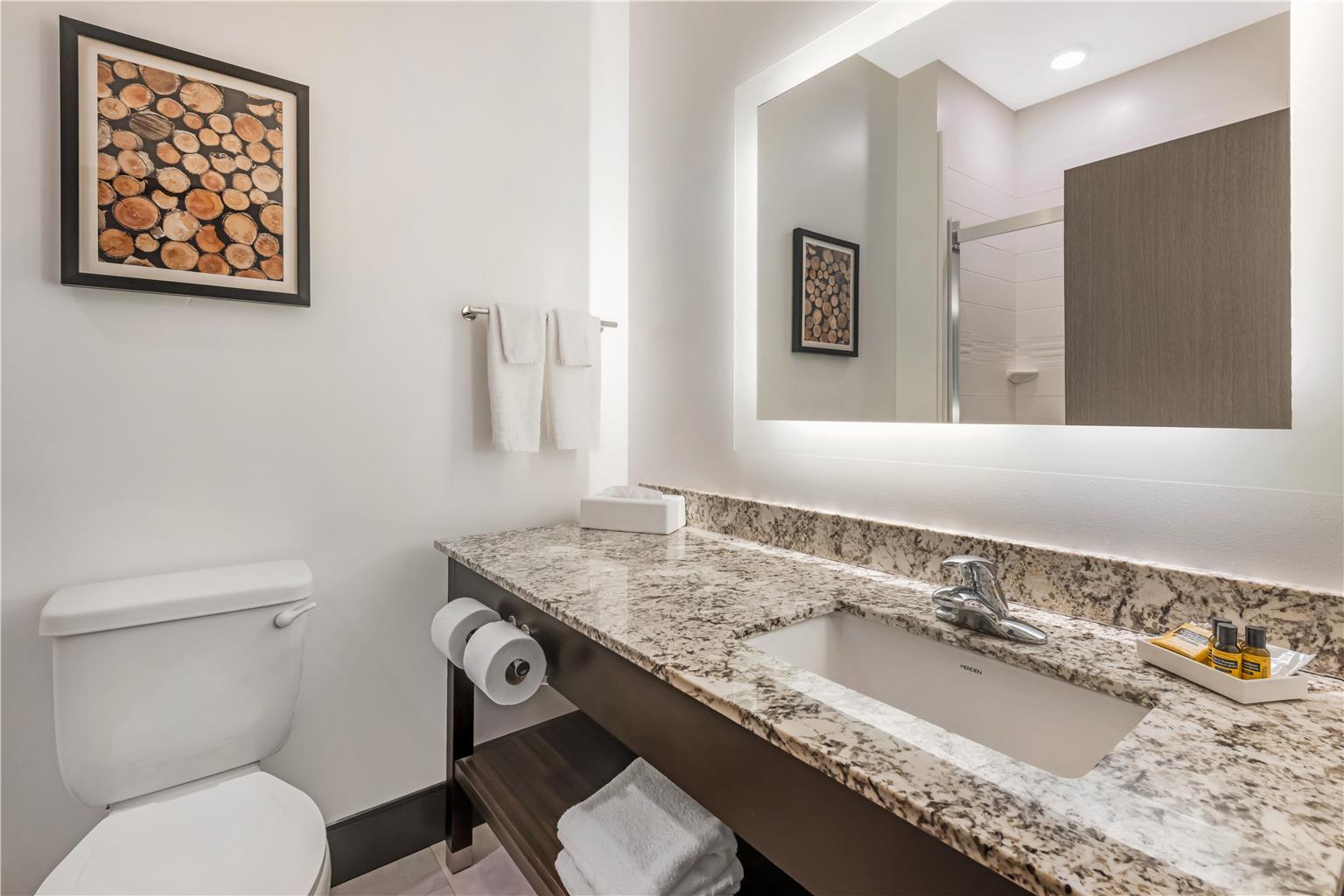 Best Western Plus Isanti - photo 37