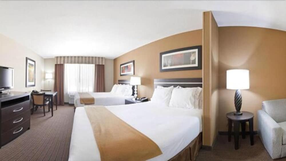 Holiday Inn Express Hotel & Suites LAMAR by IHG - photo 8