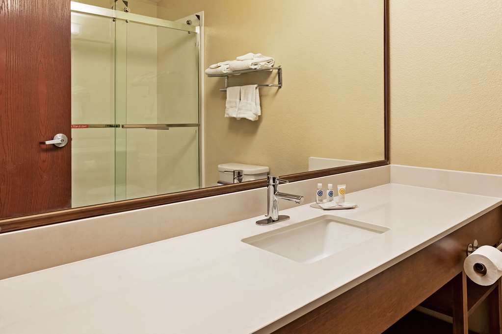 Comfort Inn Whitehall near Michigan's Adventure - photo 16