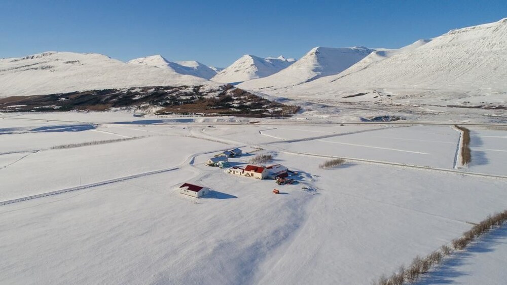 Guesthouse Bægisá