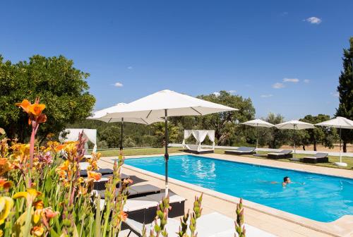 Herdade da Sanguinheira — hotel in Ponte De Sor