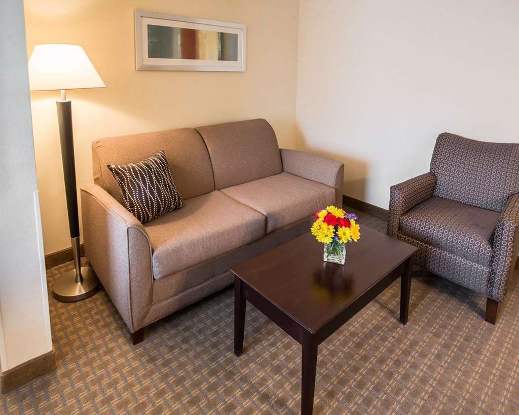 Comfort Suites University Area Notre Dame South Bend - photo 13