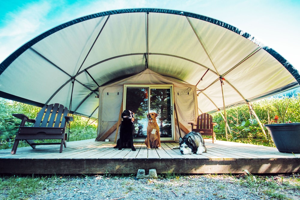 Long Point Eco Adventures — hotel in Norfolk County
