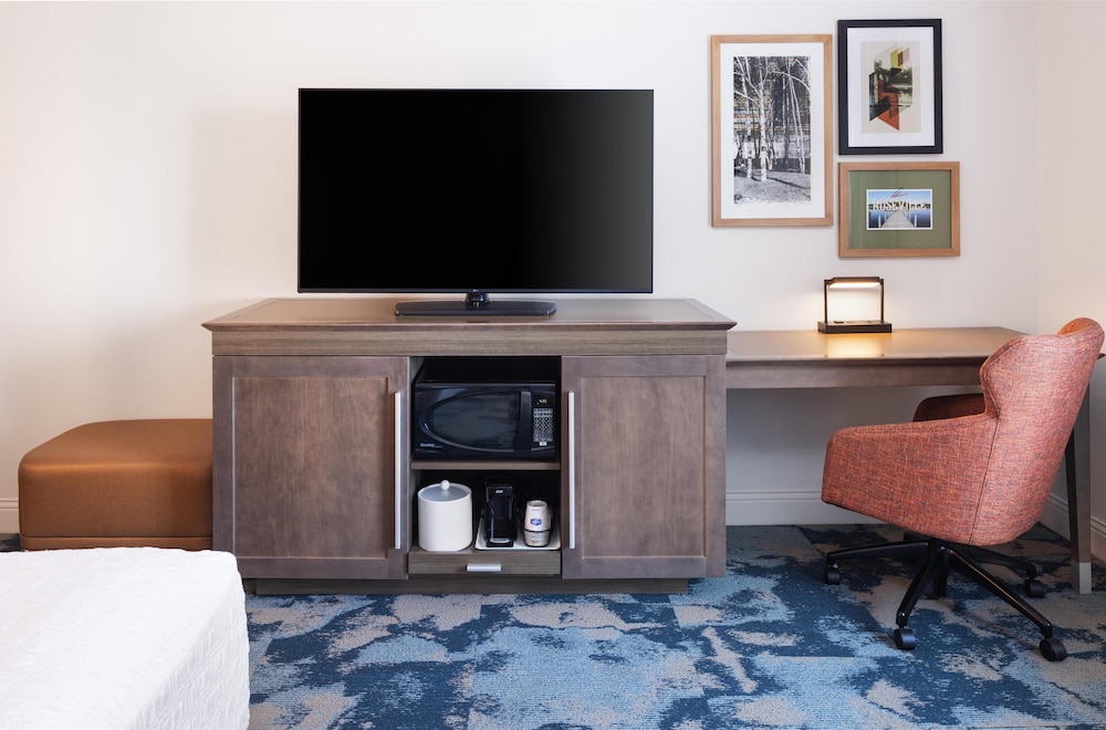 Hampton Inn Minneapolis Roseville - photo 5