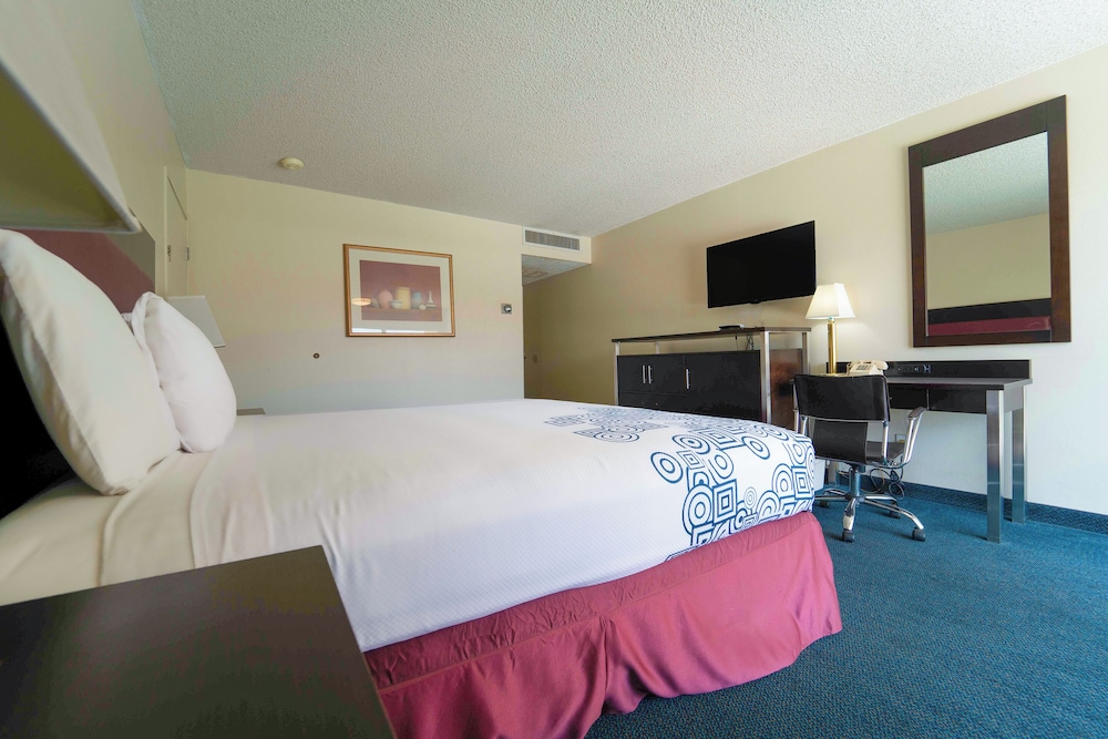 Royal Plaza Inn Indio - photo 13