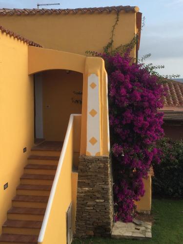 Stintino Country Village Villa — 4-Star Luxury Hotel in Stintino, Italy