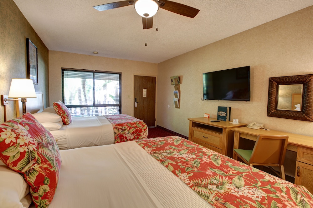 Caliente Tropics Hotel - photo 9