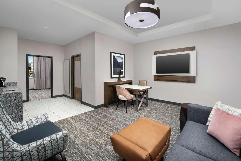 Embassy Suites by Hilton Knoxville Downtown - photo 65