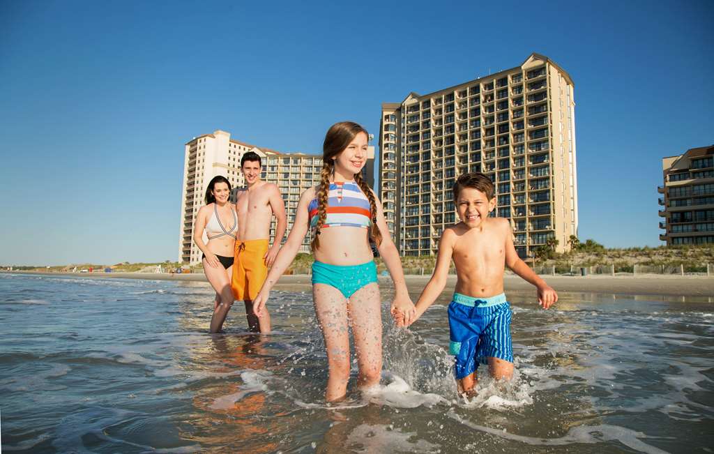 Beach Cove Resort - photo 9