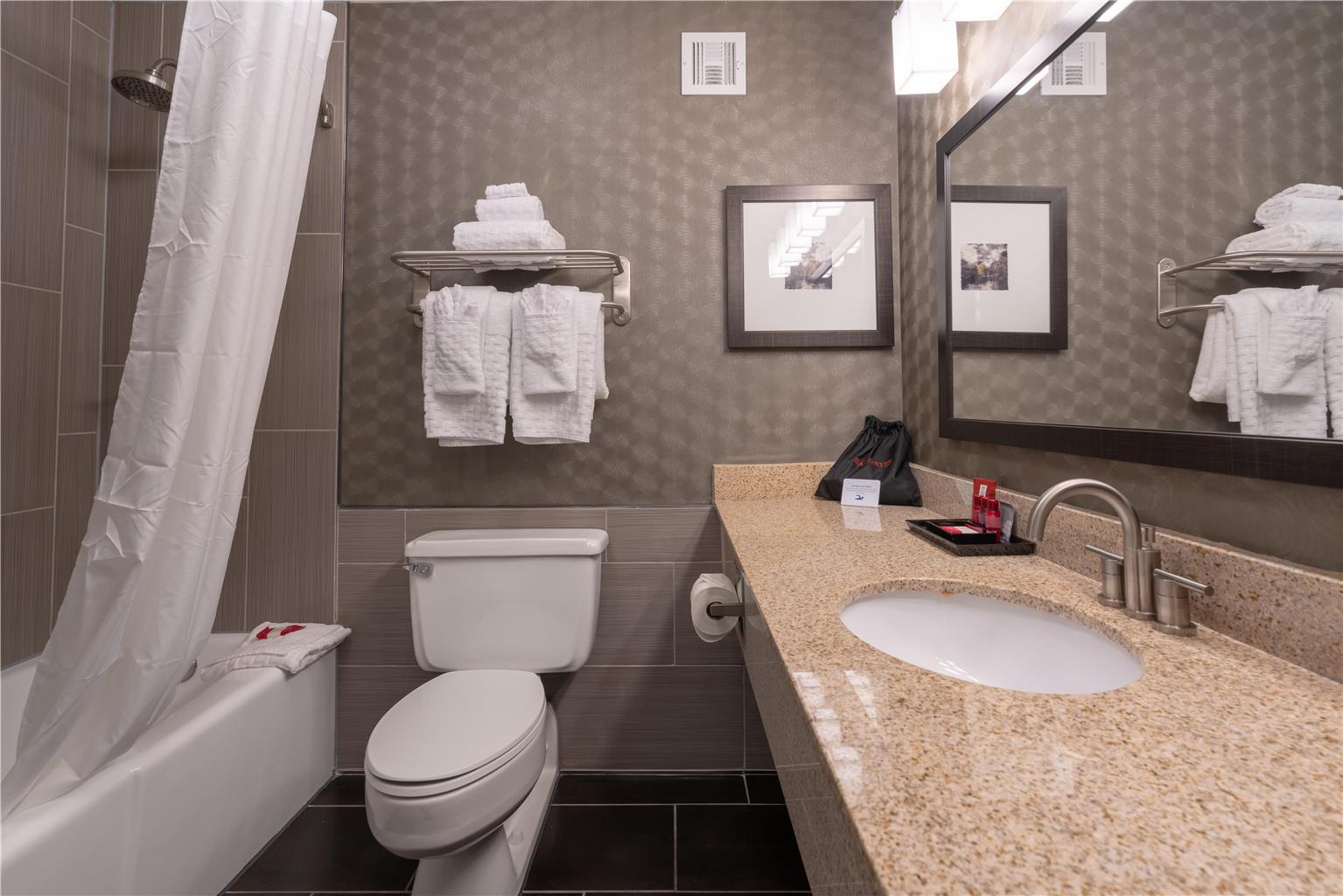 Cottonwood Airport & Expo Hotel Louisville - photo 17