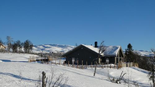NEUE Fjellhytte
