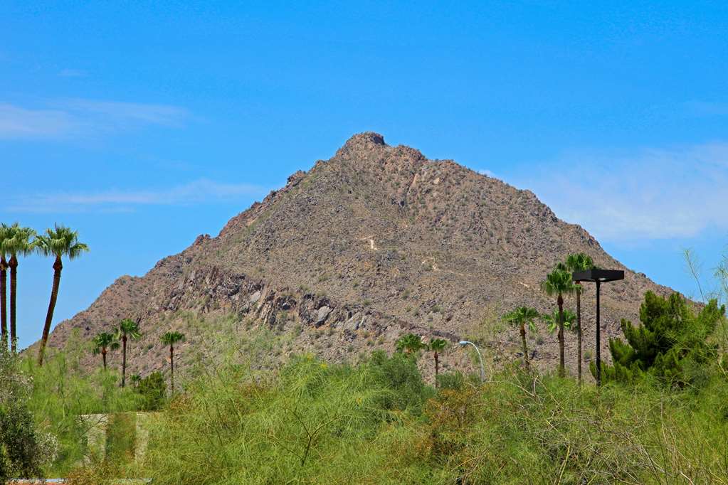 Motel 6 Old town Scottsdale Fashion Square - photo 4