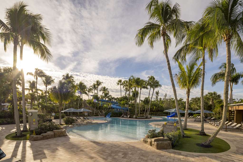 Hyatt Regency Coconut Point Resort & Spa - photo 63