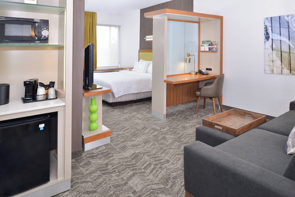 SpringHill Suites by Marriott Ashburn Dulles North - photo 10