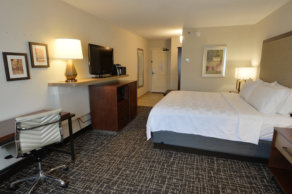 Holiday Inn Hotel & Suites Minneapolis Lakeville an IHG Hotel - photo 2