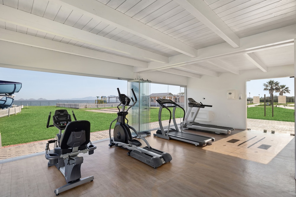 פעילויות וכושר