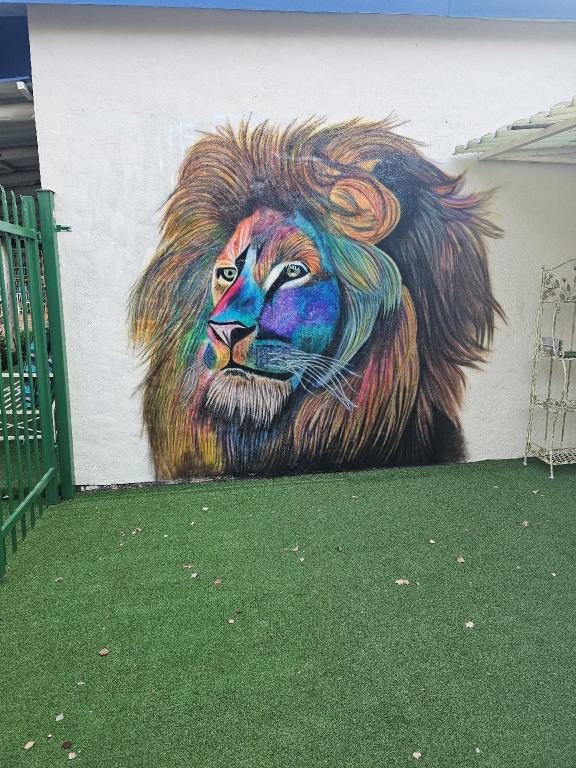 King Sanctuary in Centurion, South Africa