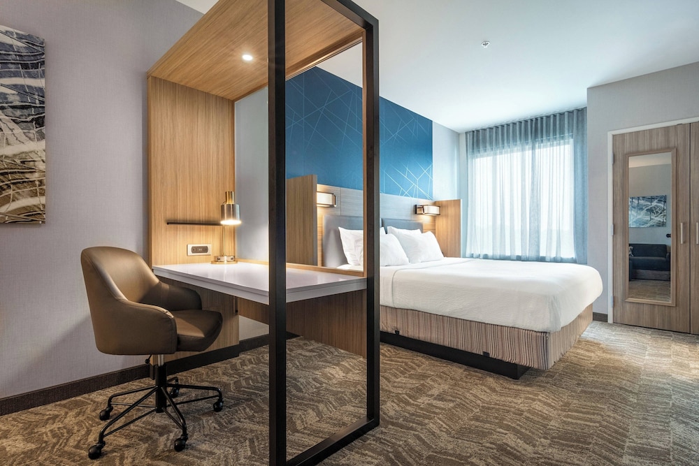 SpringHill Suites by Marriott Charleston Airport & Convention Center - photo 35