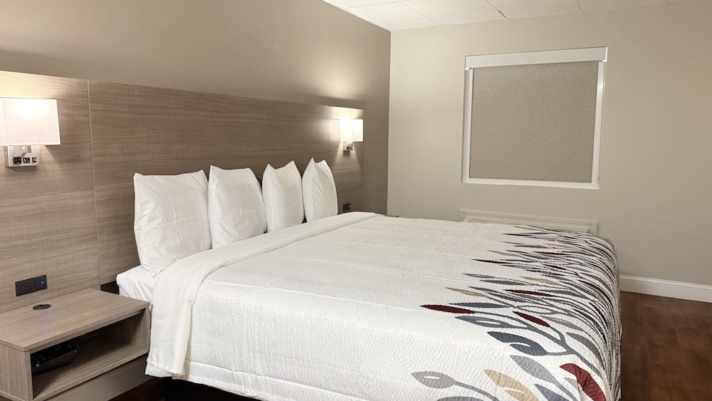 Red Roof Inn & Suites Swansea - photo 6