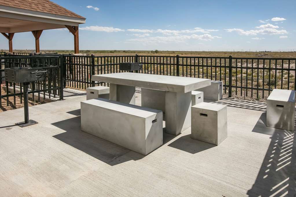 Microtel Inn & Suites By Wyndham Pecos - photo 12