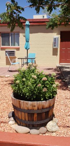 Red Rock Motel and Dam Motel - photo 107