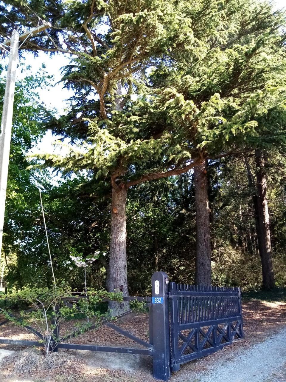 Blue Stone — Timaru — photo 2