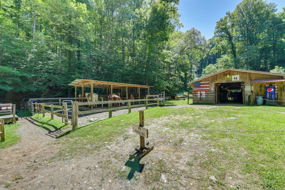 Bryson City Cabin in Smoky Mtn W resort Amenities - photo 37