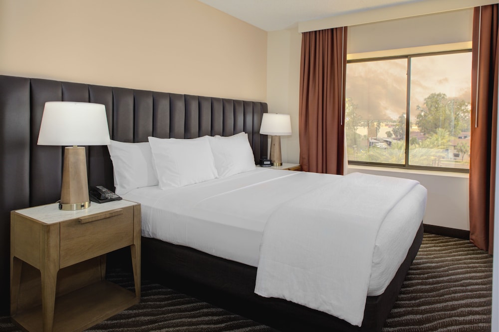 Embassy Suites by Hilton Phoenix Scottsdale - photo 10