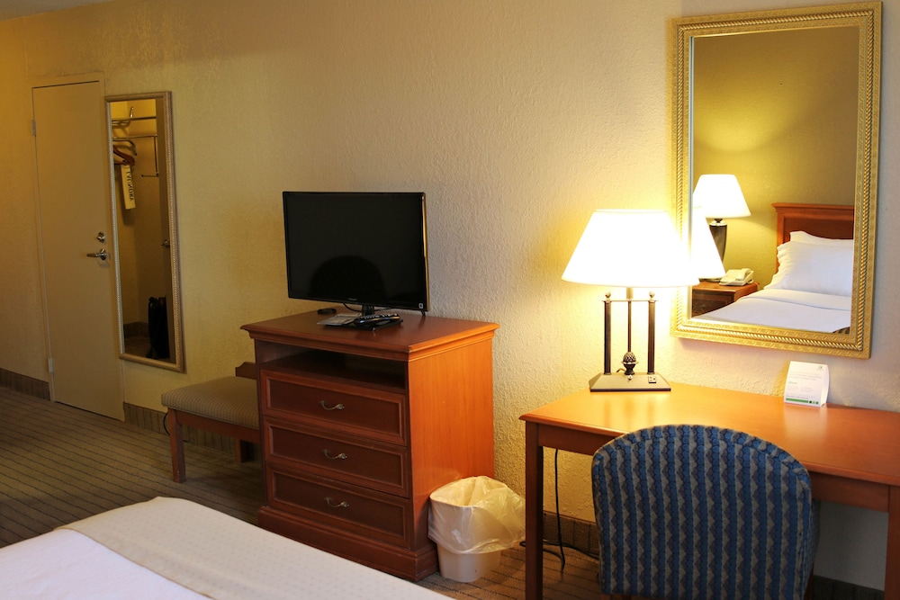 Holiday Inn Alexandria an IHG Hotel - photo 4