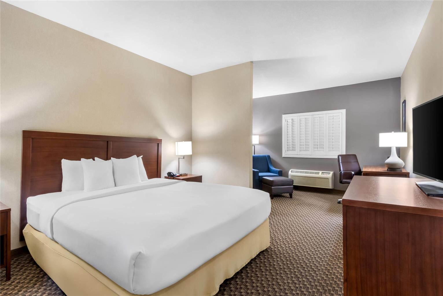 Comfort Inn & Suites Thatcher Safford - photo 21