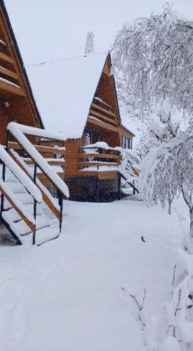 Donata Cottages kazbegi