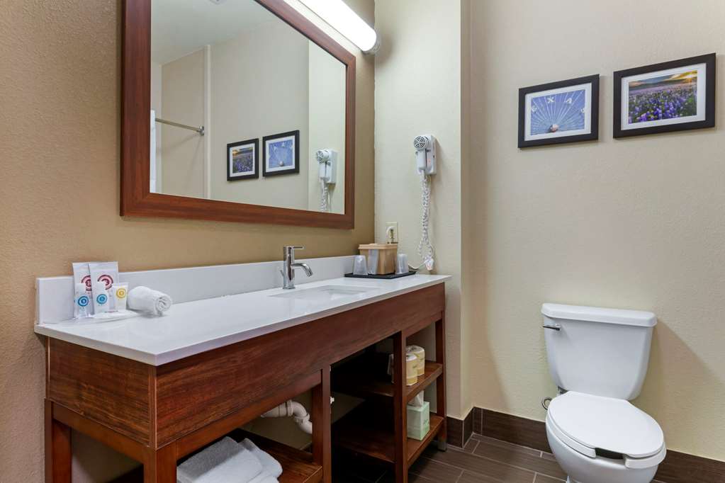 Comfort Suites Gainesville - photo 19