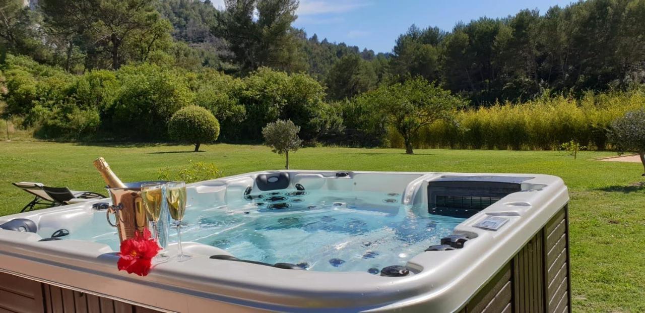 Les Prairies de Fenestrelle SPA & Piscine Au Calme — Aubagne — photo 3
