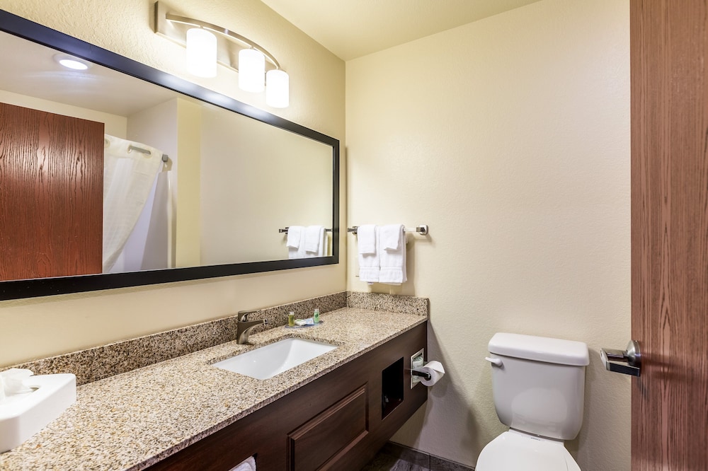Cobblestone Hotel & Suites Stevens Point - photo 25