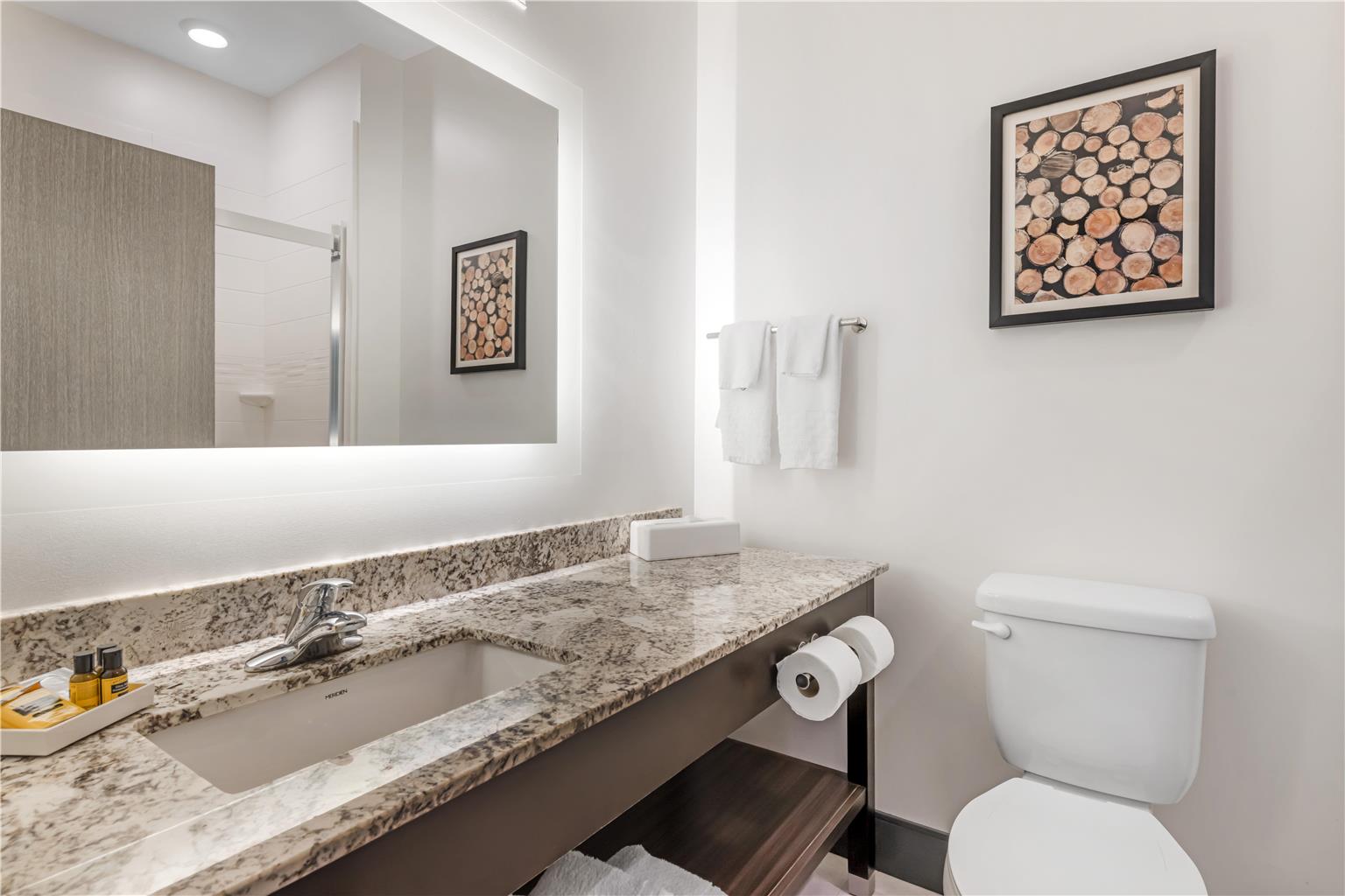 Best Western Plus Isanti - photo 21