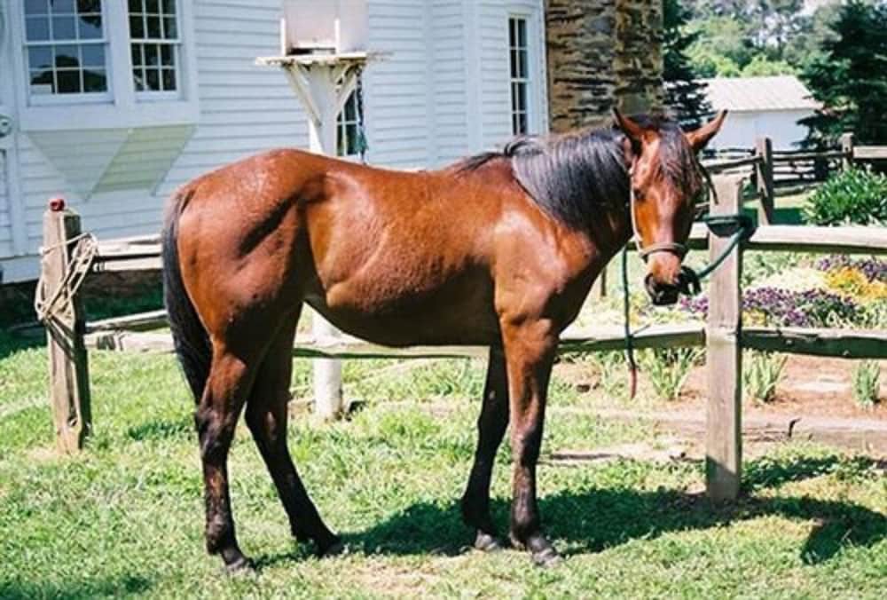 Seventy four Ranch - photo 44