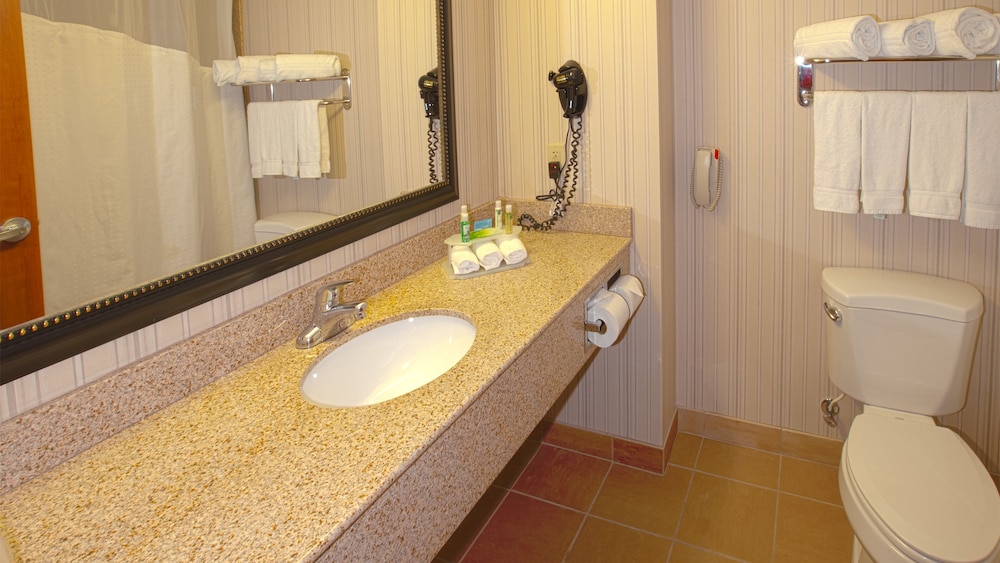 Holiday Inn Express & Suites Nampa Idaho Center by IHG - photo 19
