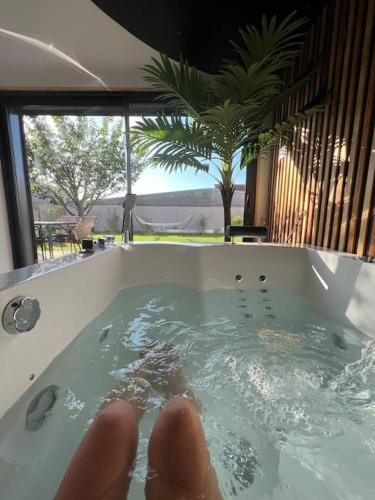 ESCAPE ZEN Oasis tropicale & Spa privatif — hotel in Loon-Plage
