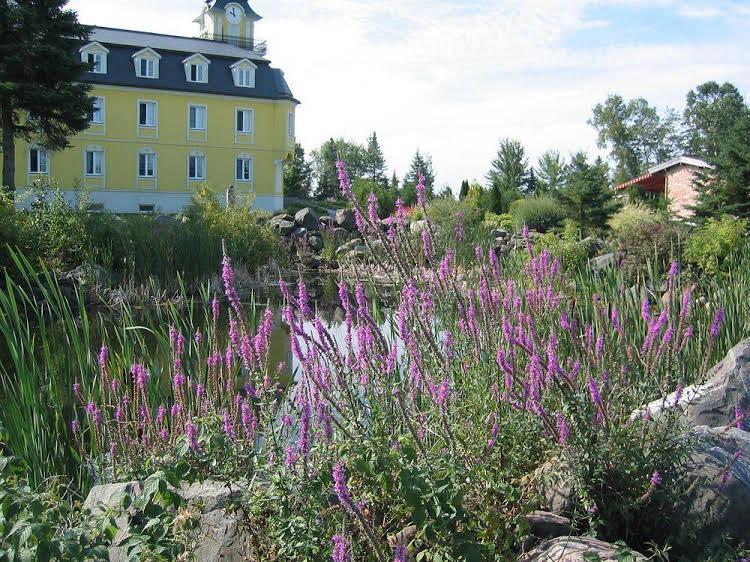 Golf Hotel Plaza Stastny — Levis