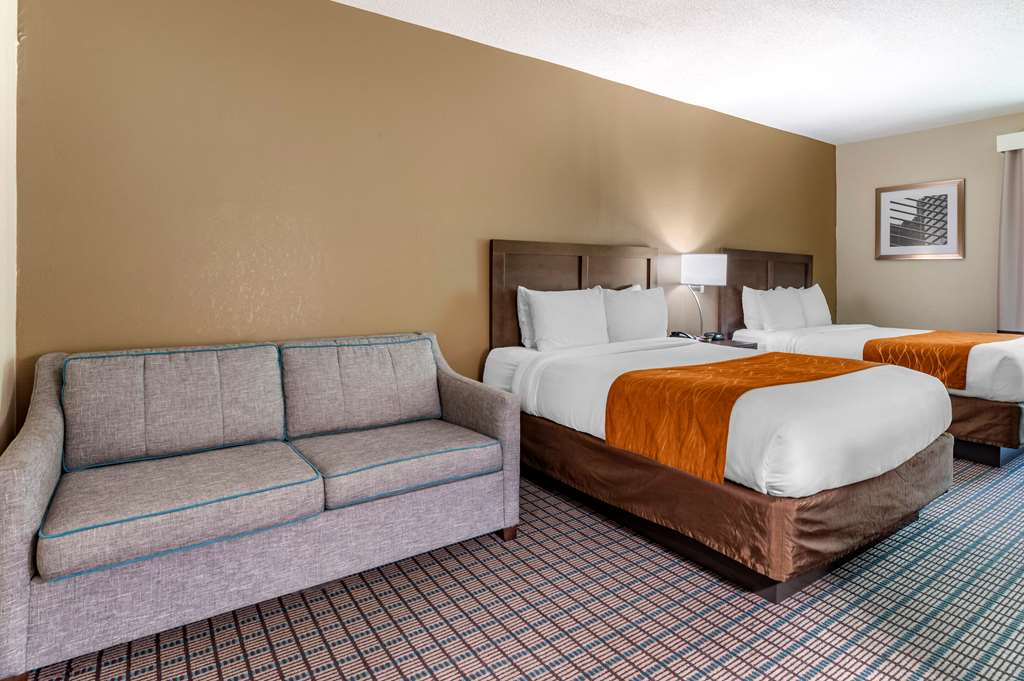 Comfort Inn & Suites Cincinnati Uptown Clifton - photo 7