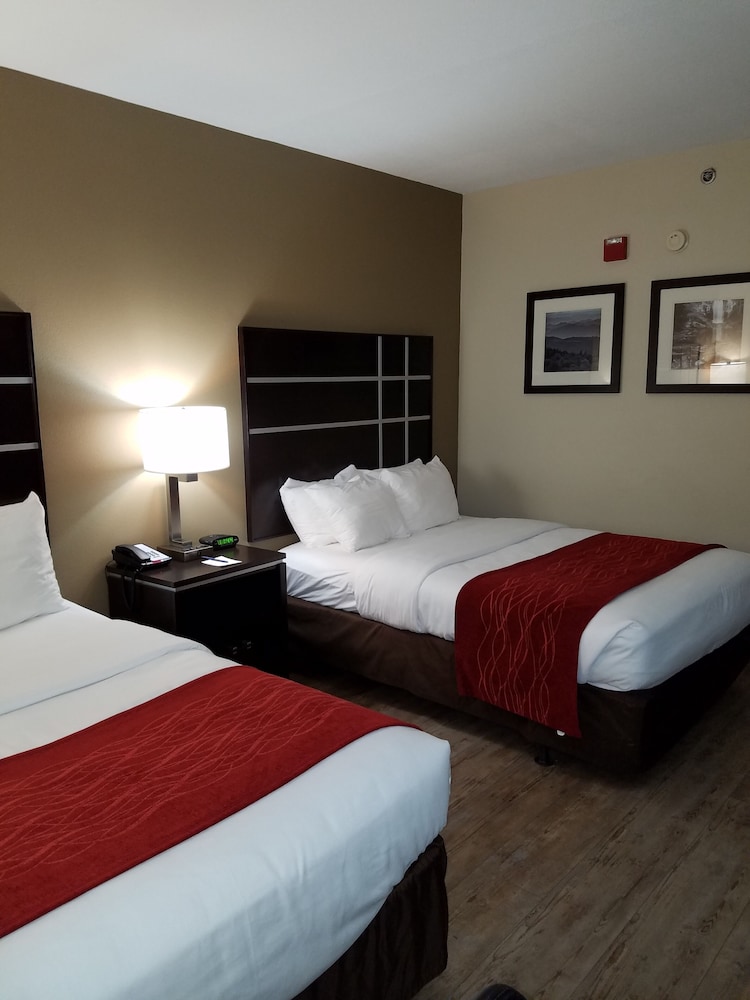 Comfort Inn North of Asheville - photo 12