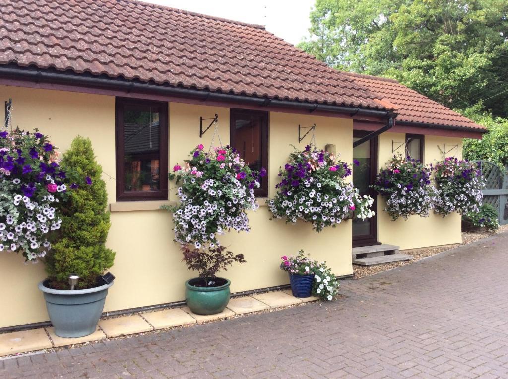 The Mendip is on cheddar bridge Apartments — 4-Star Luxury Hotel in Cheddar, United Kingdom
