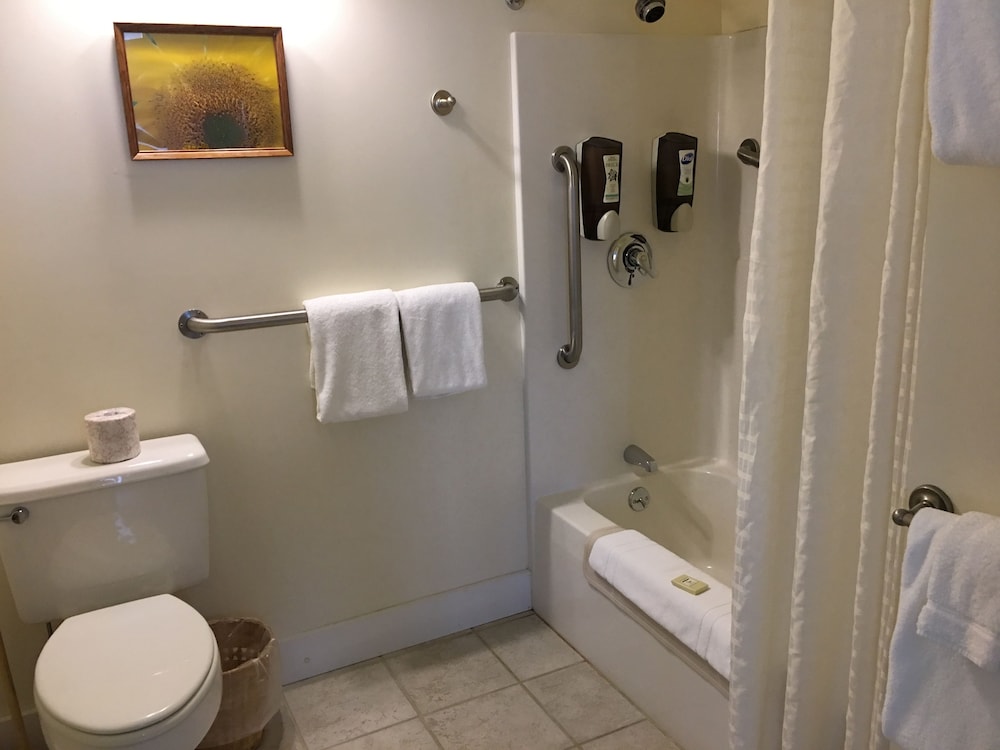 Camden Riverhouse Hotel - photo 52