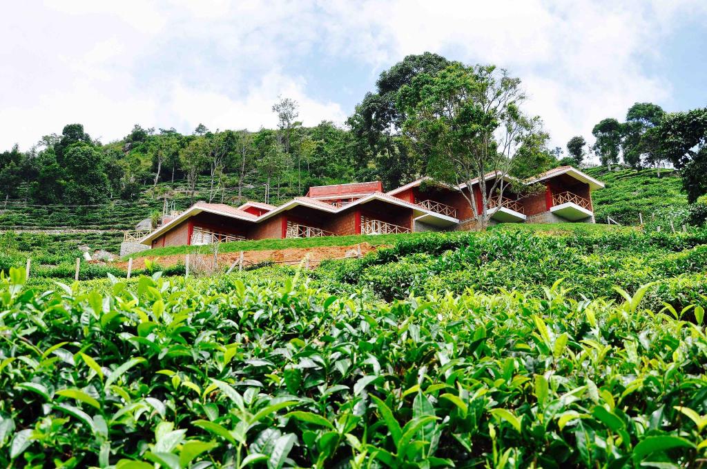 Hanging Huts Resort Kotagiri — Ooty