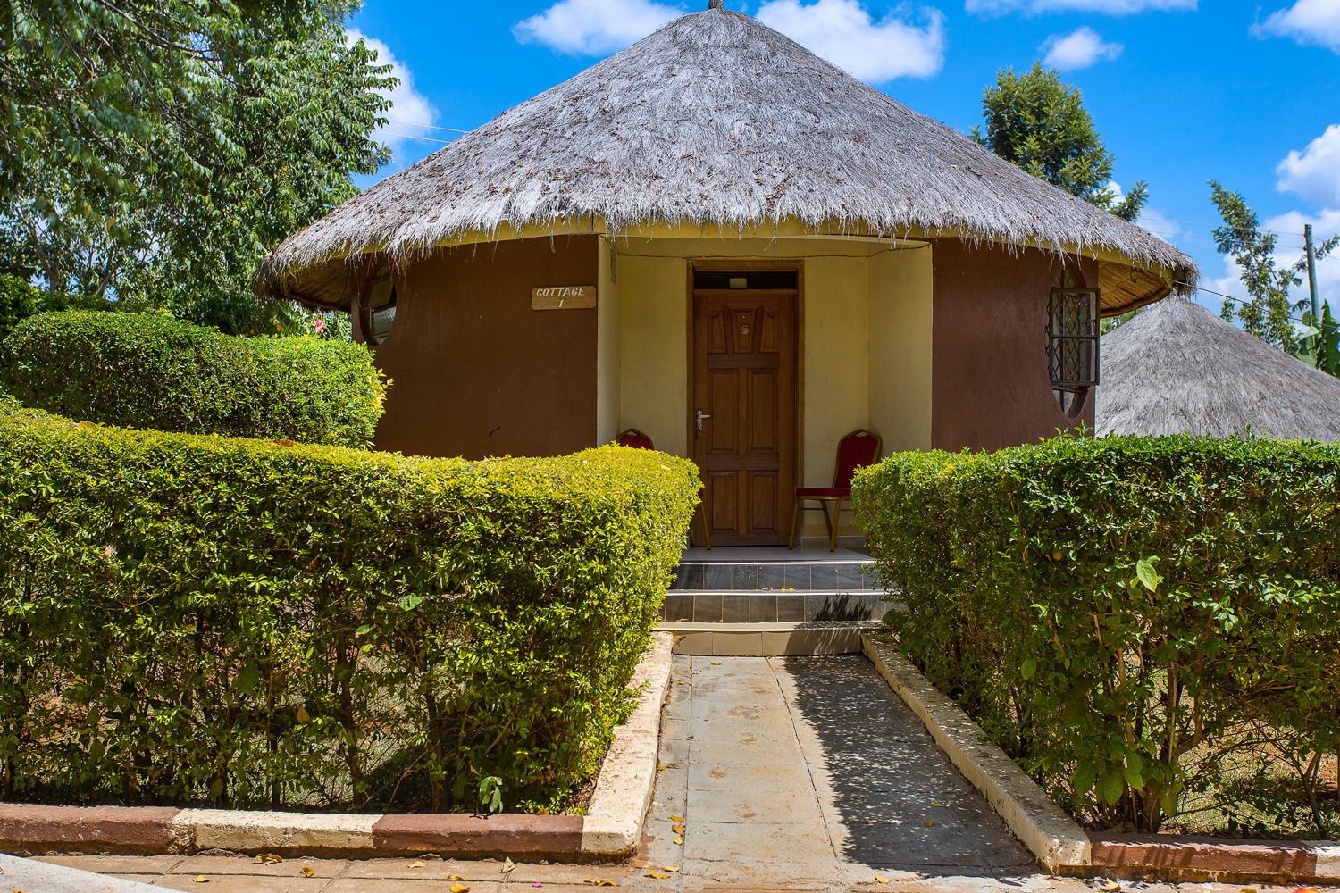 Kilimo Talii in Meru, Kenya