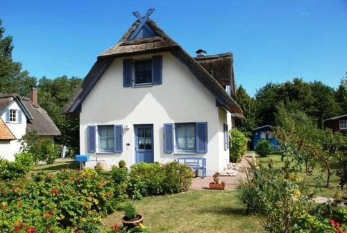 Hagebutte in Kirchdorf, Germany